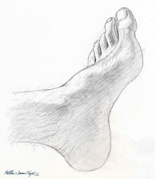 Зарисовки стопы человека