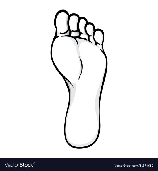 Стопа рисунок