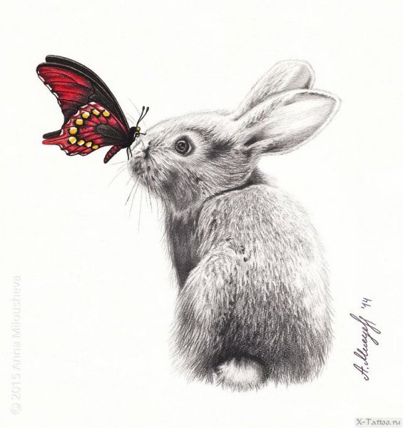 Кролик набросок