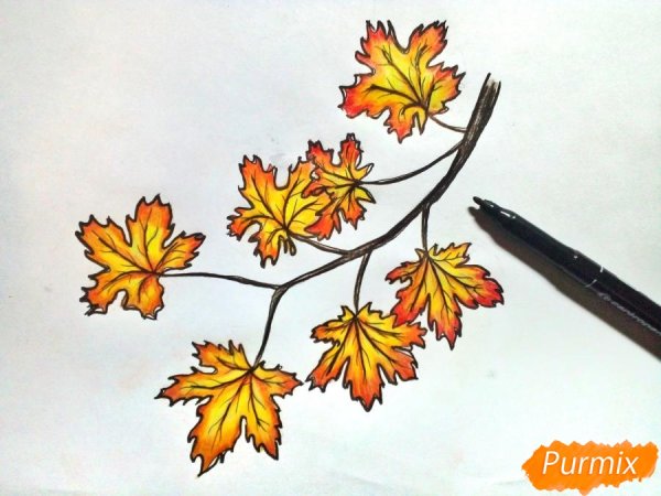 Ветка клена вектор