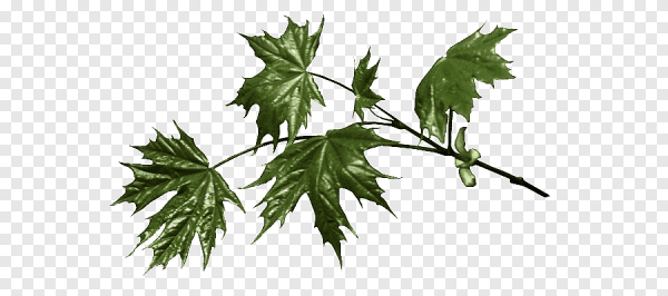 Осень Минимализм