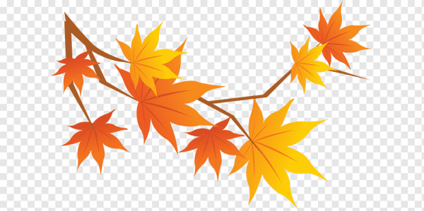Осенняя ветка на прозрачном фоне