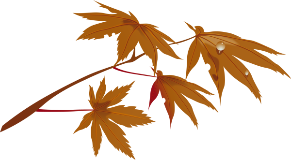 Ветка клена референс