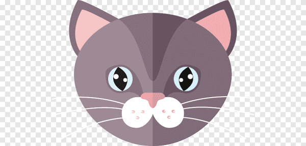 Мордочка кошечки