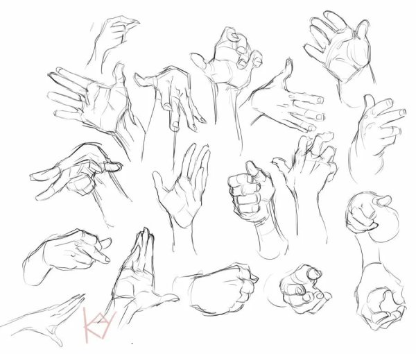 Ракурсы рук для рисования