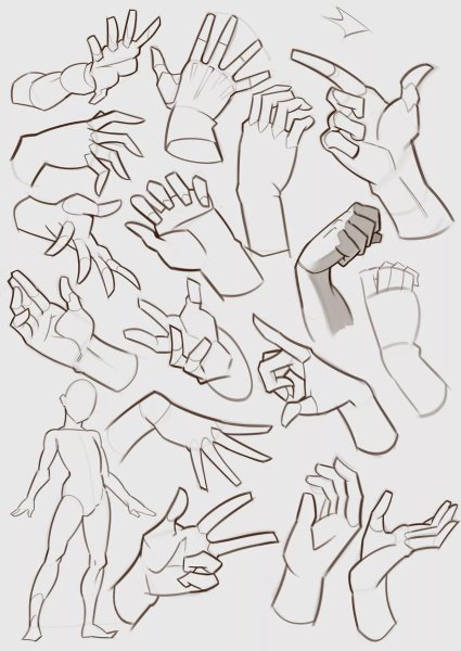 Кисть руки сбоку референс