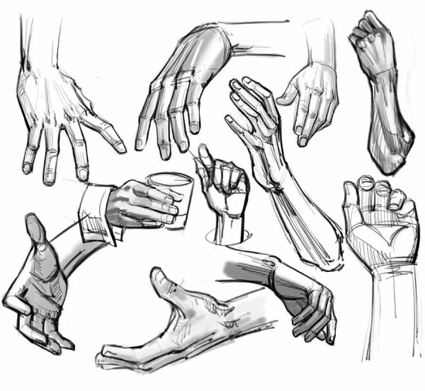 Кисть руки референс