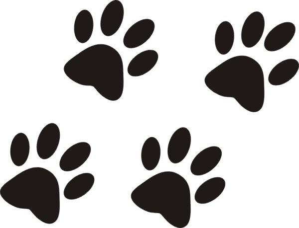 Отпечаток лапы кошки