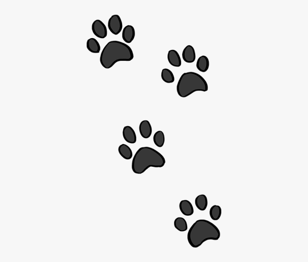 Кошачья лапка силуэт