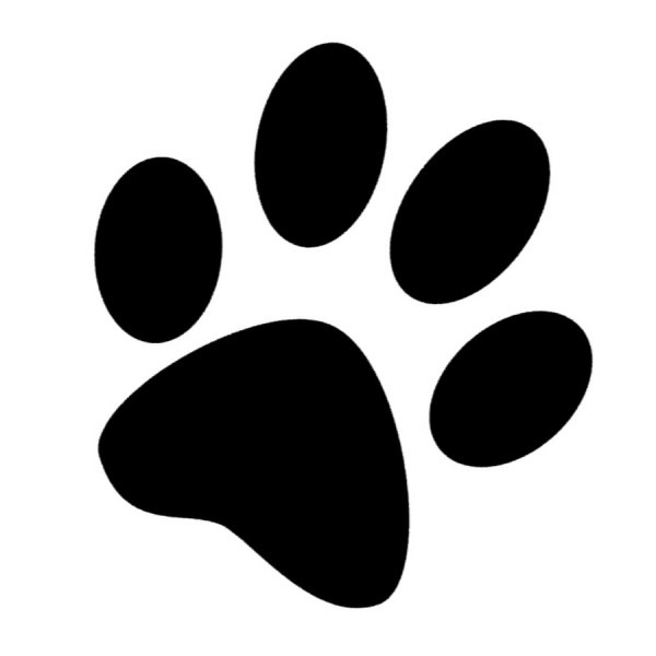 Отпечаток лапы кота