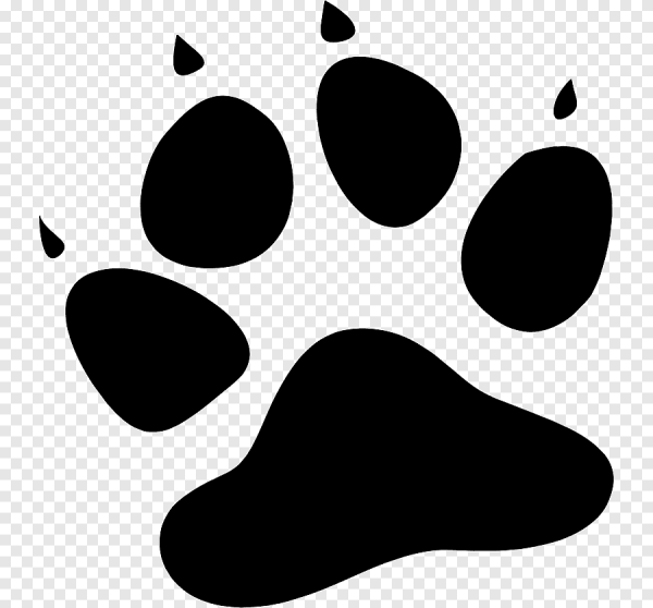 Кошачьи следы