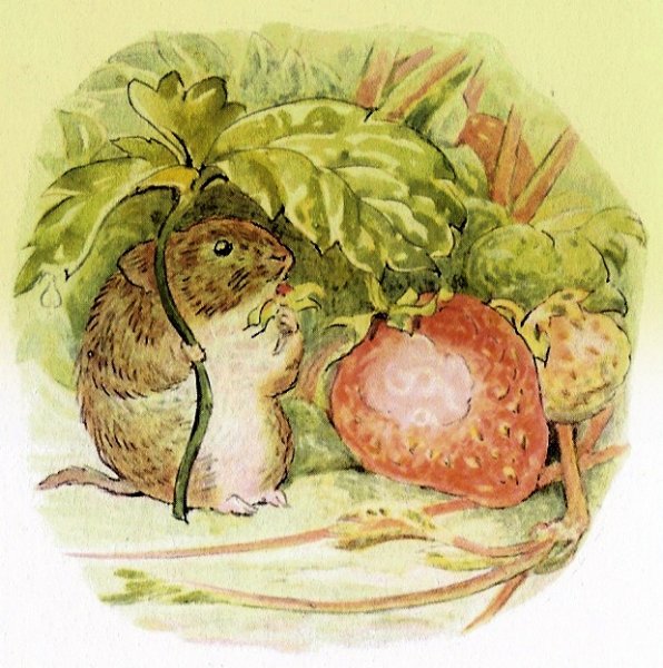 Беатрикс Поттер иллюстрации