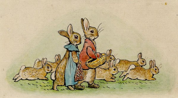 Беатрис Поттер "Питер-кролик"