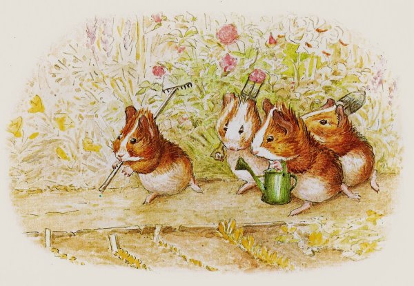 Беатрикс Поттер иллюстрации