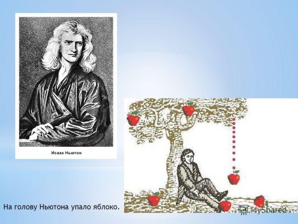 Исаак Ньютон за работой карикатура