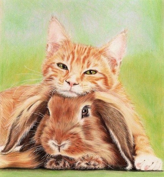 Котенок и Зайчонок