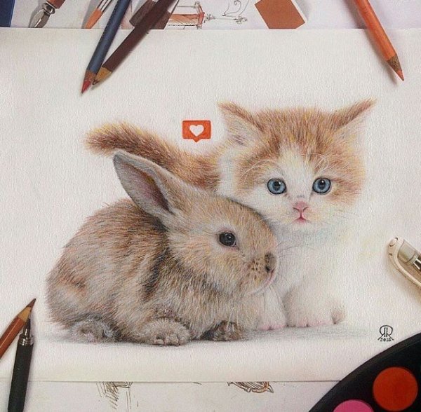 Добрый котик рисунок