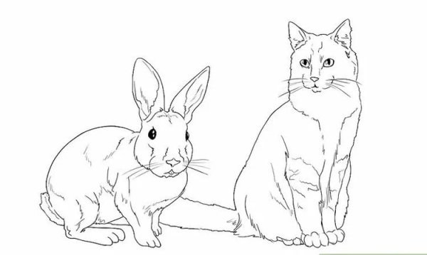 Котик и зайчик