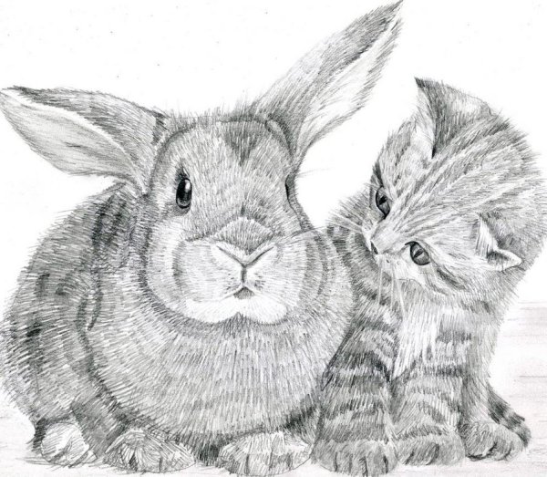 Художник-анималист persis Clayton Weirs