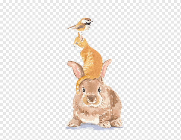 Заяц в шарфике