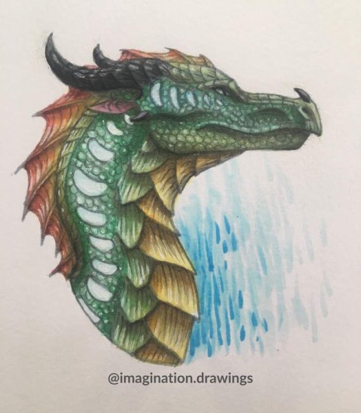 Чешуя дракона дракона