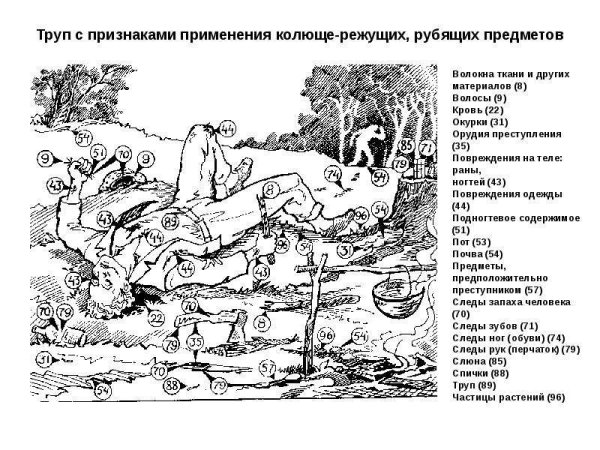 Очертания трупа с места преступления