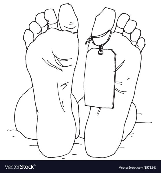 Мертвая птица арт