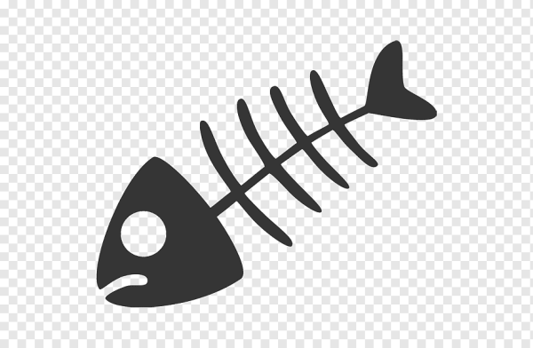 Скелет рыбы