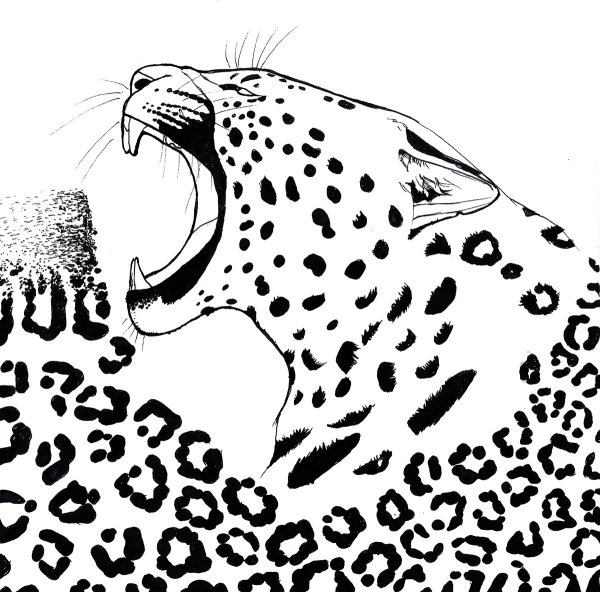 Леопард Графика