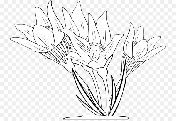 Цветы рисунок