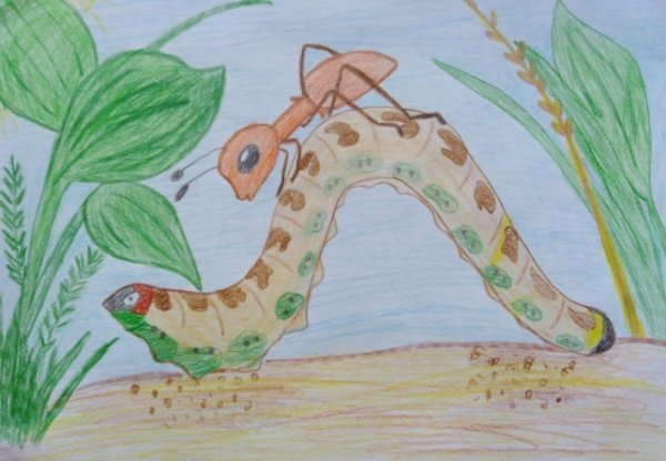 В Бианки хвосты приключения муравьишки