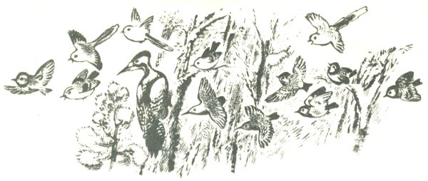 Чарушин Бианки