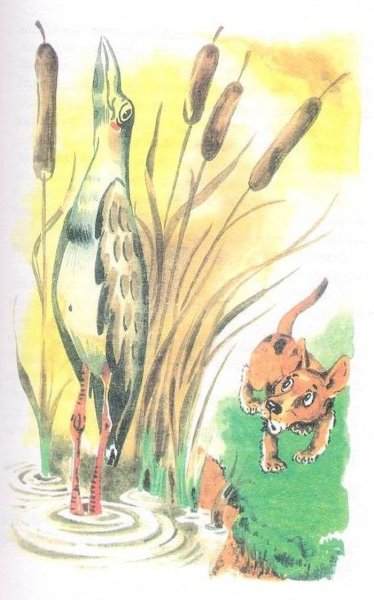 Иллюстрации к произведениям Виталия Бианки