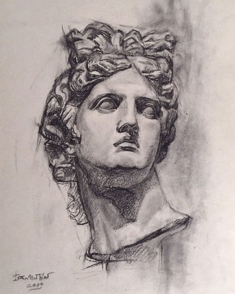 Бюст девушки для рисования