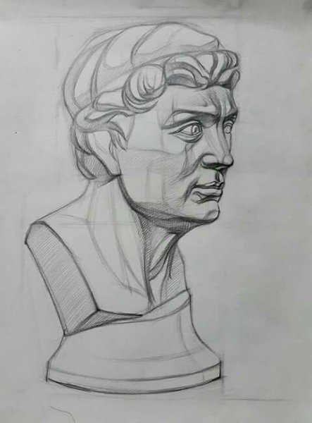 Аполлон Бельведерский голова гипс