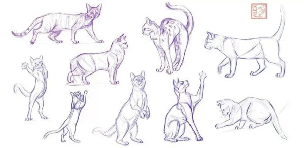 Кошка сбоку референс
