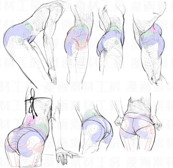 Ягодицы референс