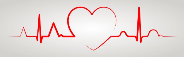 Линия ЭКГ И сердце