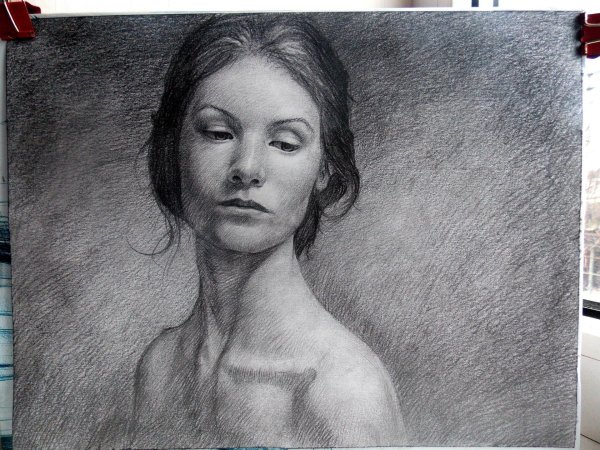 Портрет Ани Покров карандашом