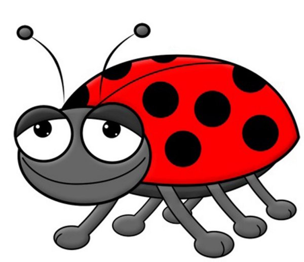 Жучки для детей