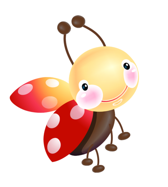 Жучок на прозрачном фоне