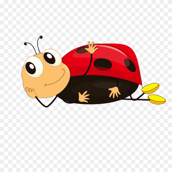 Жучки для детей