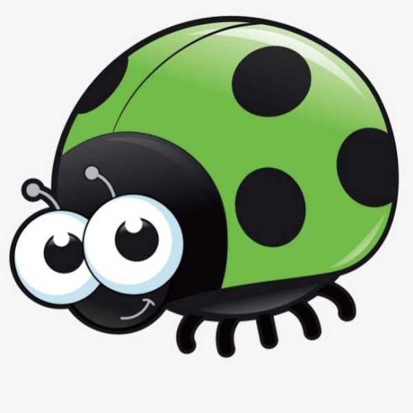 Жучки для детей