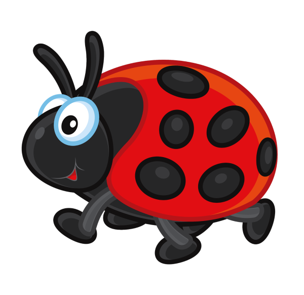 Божья коровка на прозрачном фоне