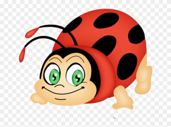 Жук Bug Картун