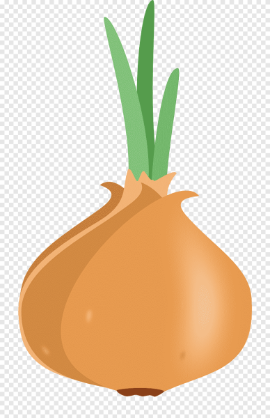 Луковица для детей