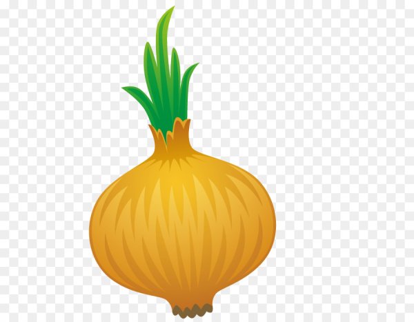 Нарисовать лук репчатый