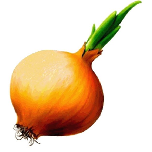 Лук рисунок на прозрачном фоне