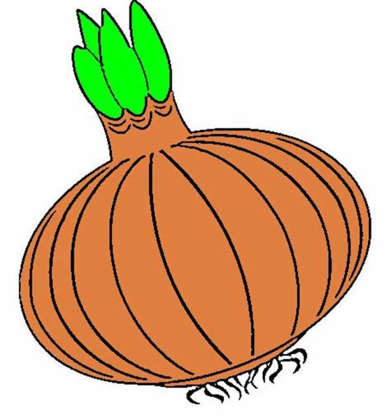 Лук раскраска