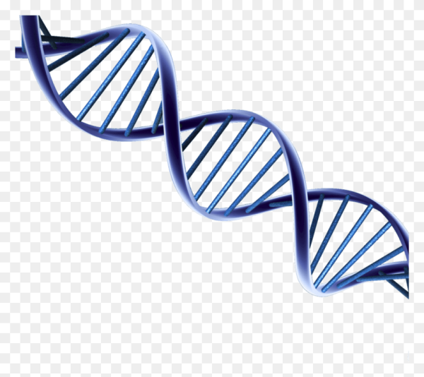 Ген без фона